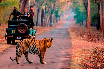 jim-corbett